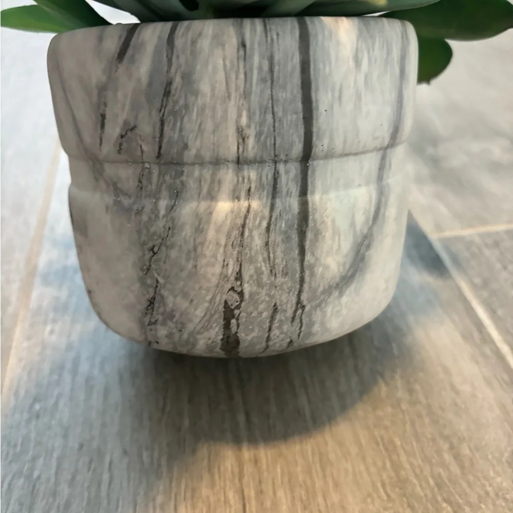 Green and Brown Succulent Arrangement in Marble Pot